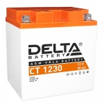 Аккумулятор для квадроцикла Delta CT 1230 YIX30L-BS