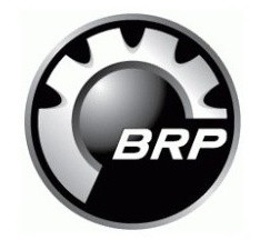 Наклейка BRP LOGO BRP 219902677