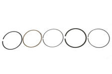 Поршневые кольца квадроцикла Polaris Sportsman 300 / 3089822