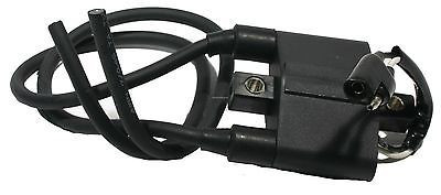 Катушка зажигания Polaris RMK/Switchback/IQ Shift/IQ Racer/XC SP/ED  800/700/600/500 4060229 4060225 IC211CAP