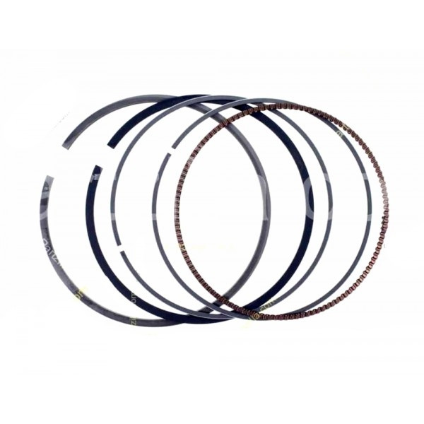 Поршневые кольца оригинальные для квадроцикла Polaris Sportsman RANGER RZR 800 (05-16) 2202920