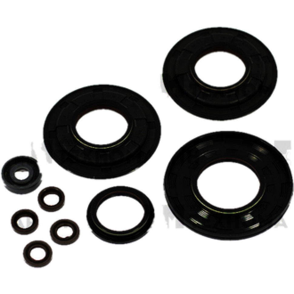 Комплект сальников двигателя 800R E-TEC BRP SM-09413