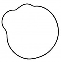 Прокладка крышки генератора для квадроциклов Polaris 5412458