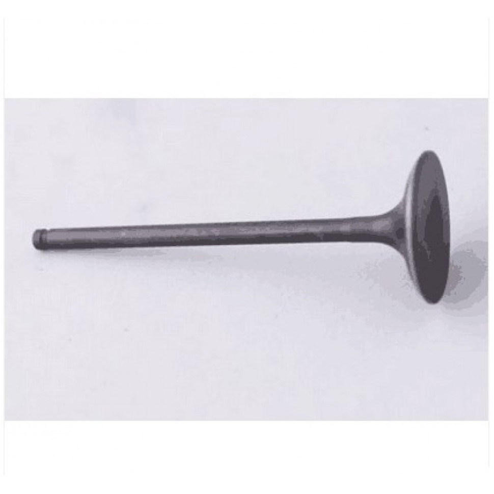 Клапан впускной X5 /CF500 0180-022004 0180-022004