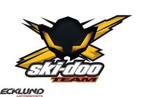 Наклейки оригинальные Ski - Doo X-Team Bee 516006301