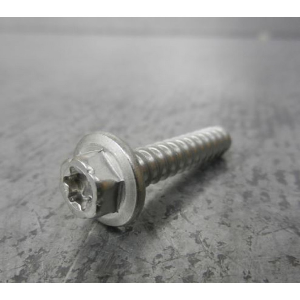 Болт крышки вариатора FLANGED TORX SCREW M6 X 30 420441573 /420441575 420441575